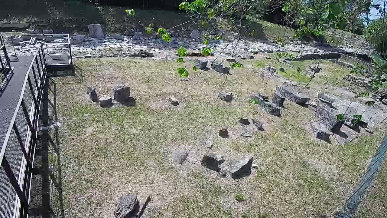 Aquileia – Decumano di Aratria Galla