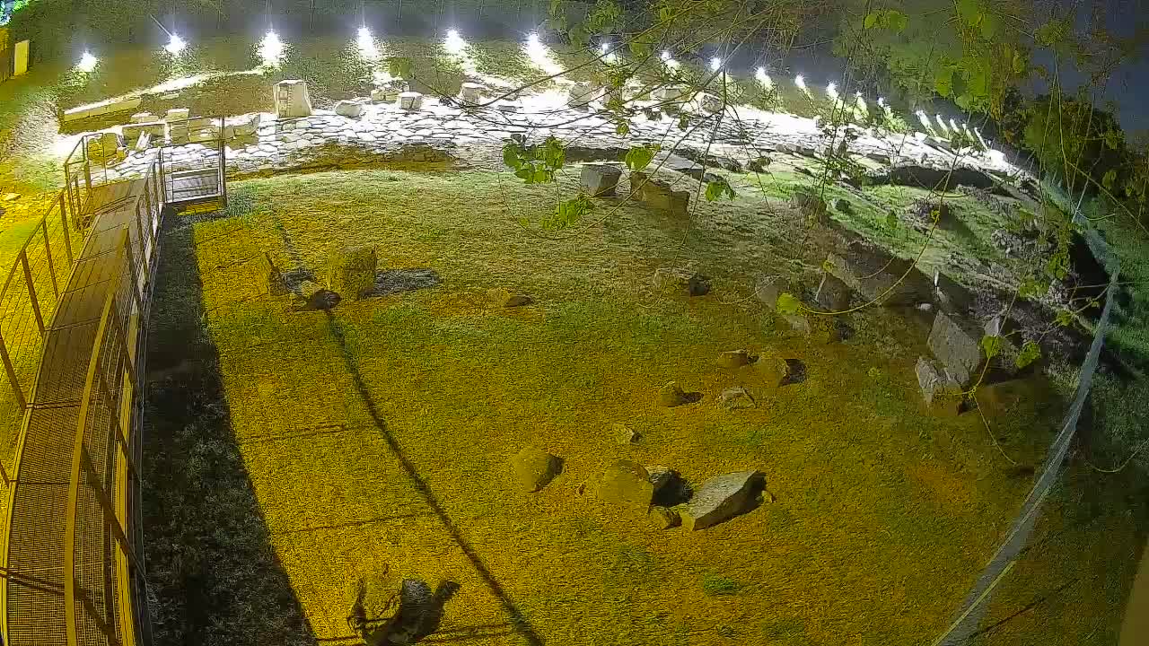 Aquileia – Decumano di Aratria Galla