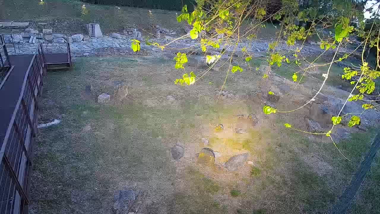 Oglej – Decumano Aratria Galla