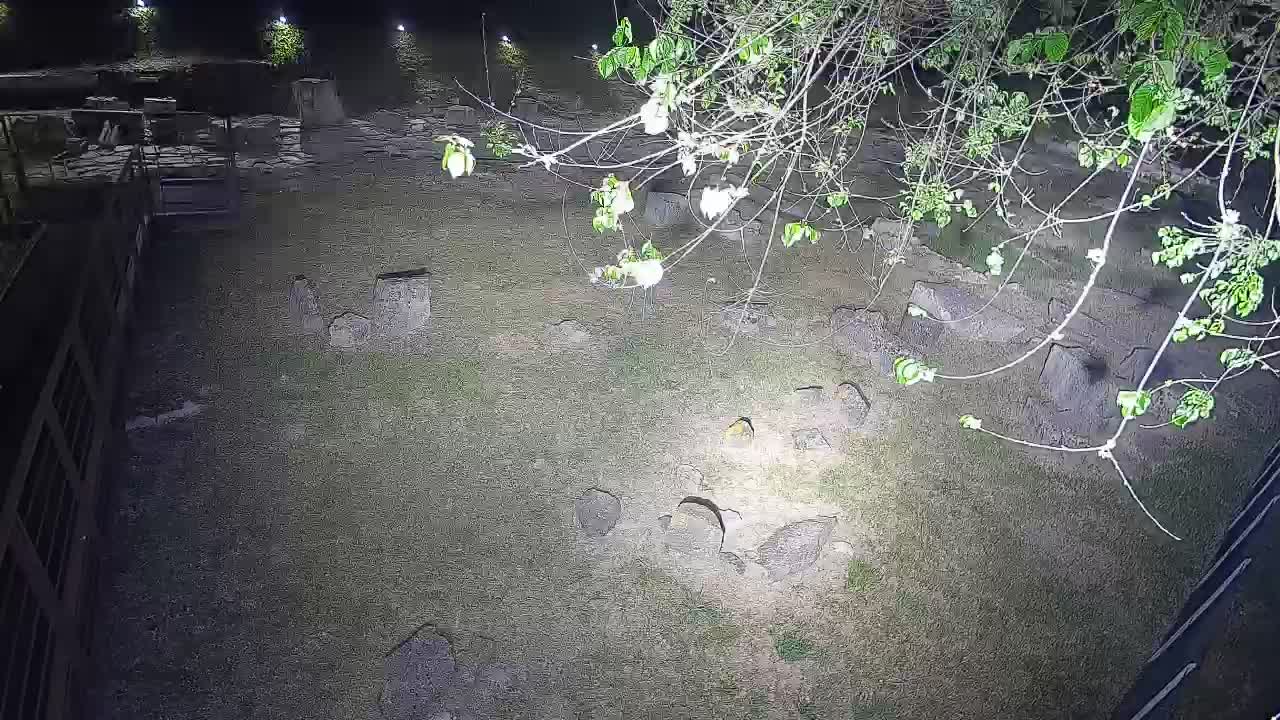 Aquileia – Decumano di Aratria Galla