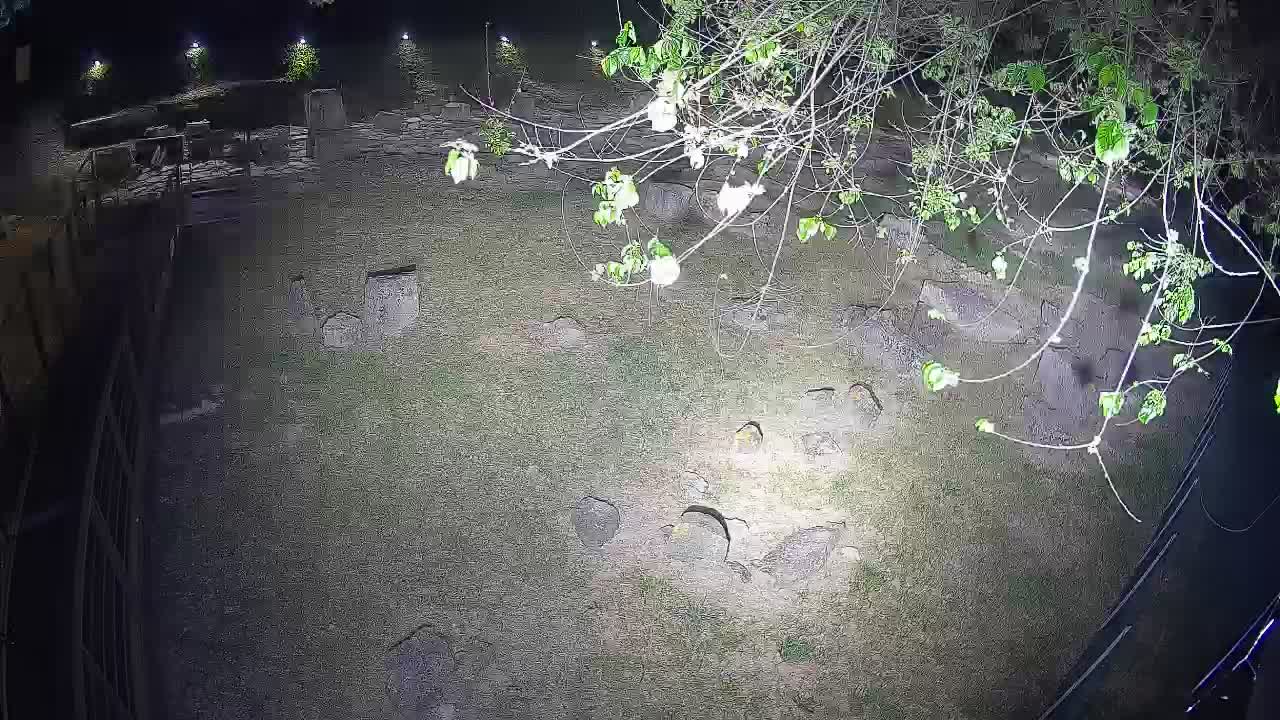 Aquileia – Decumano di Aratria Galla