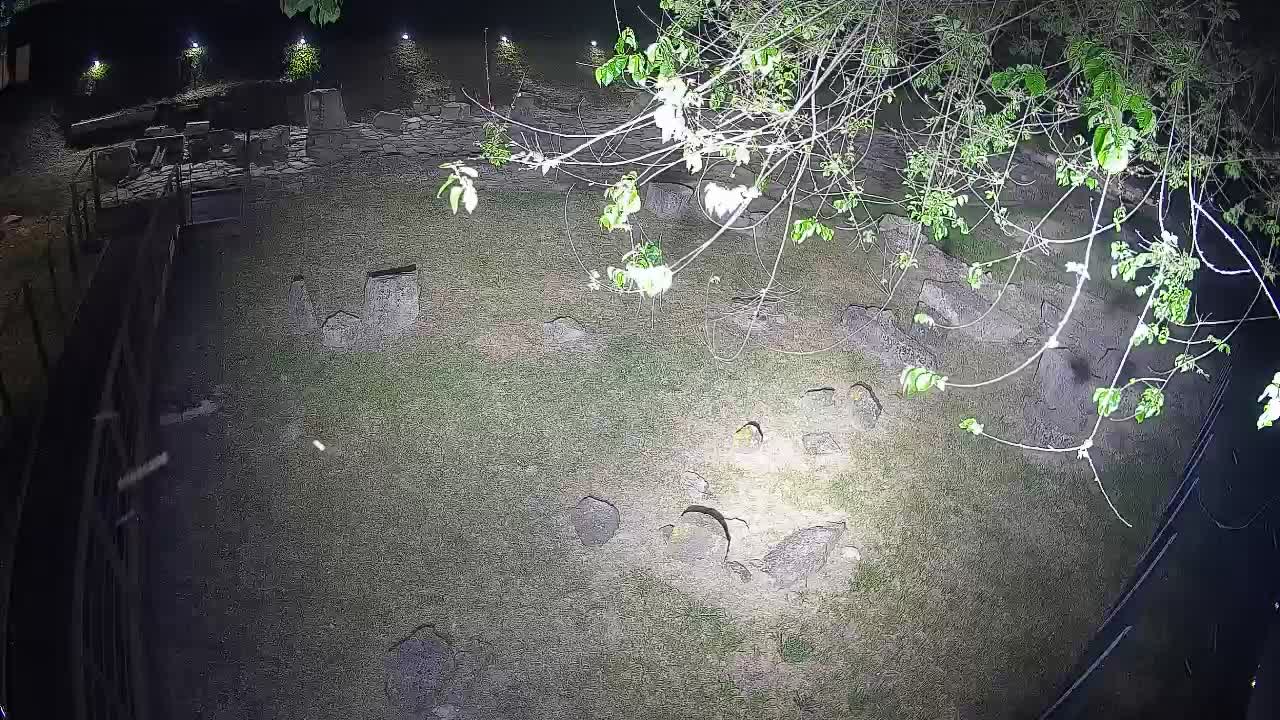 Aquileia – Decumano di Aratria Galla