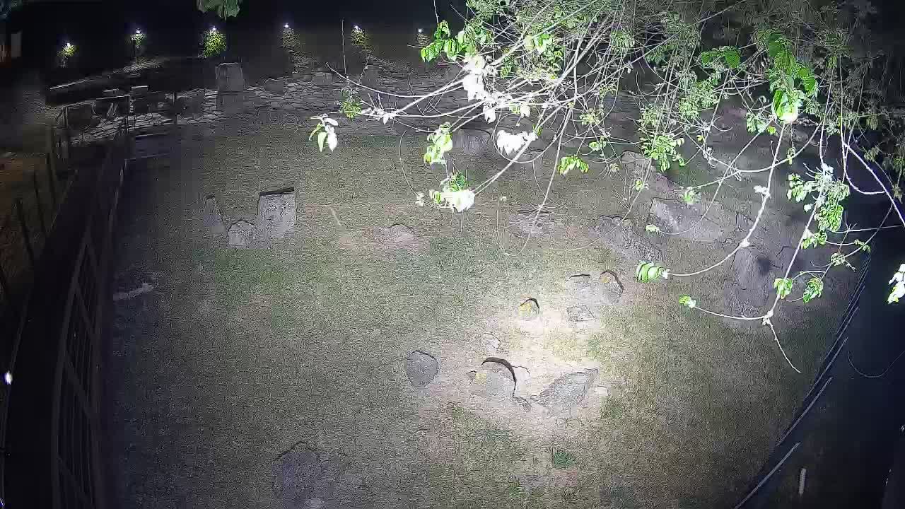 Aquileia – Decumano di Aratria Galla