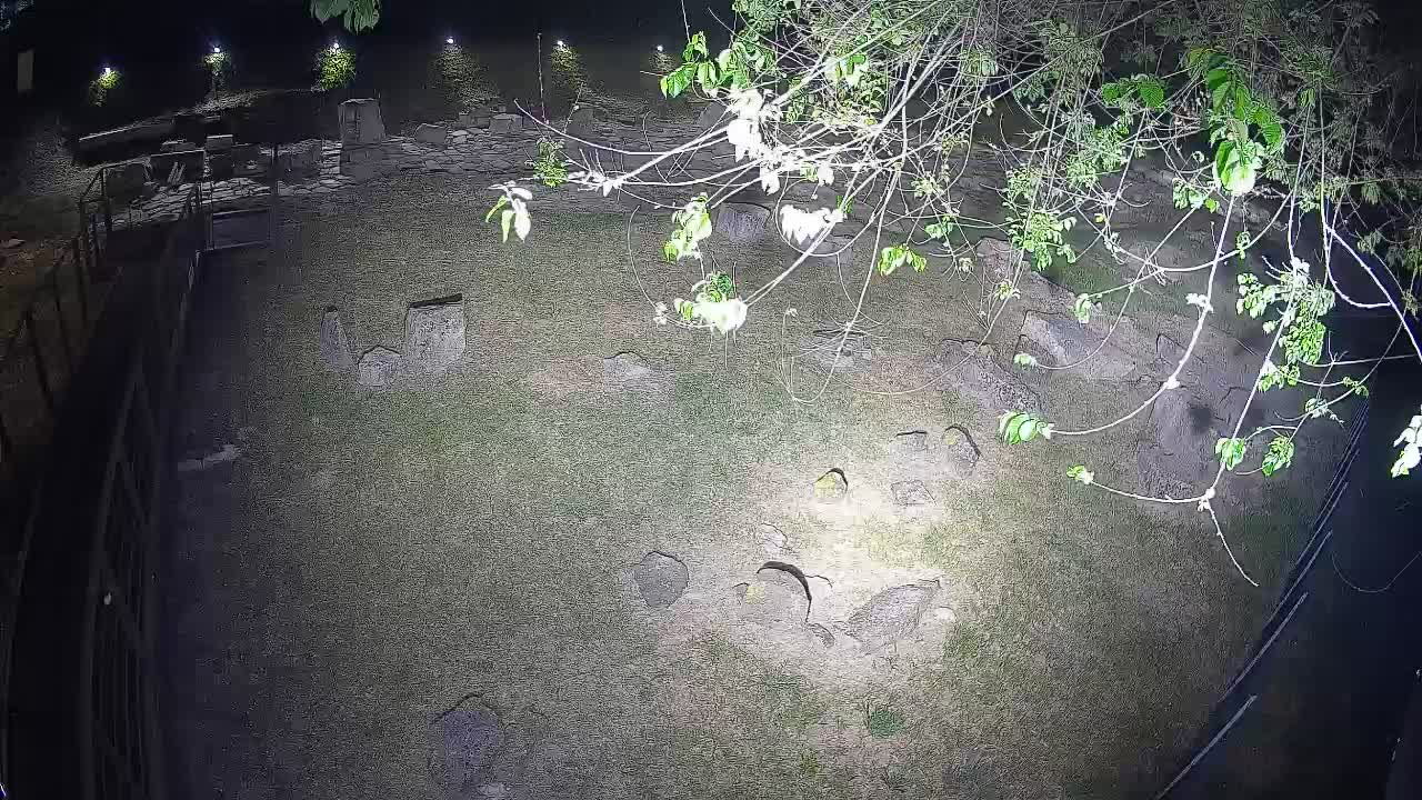 Aquileia – Decumano di Aratria Galla