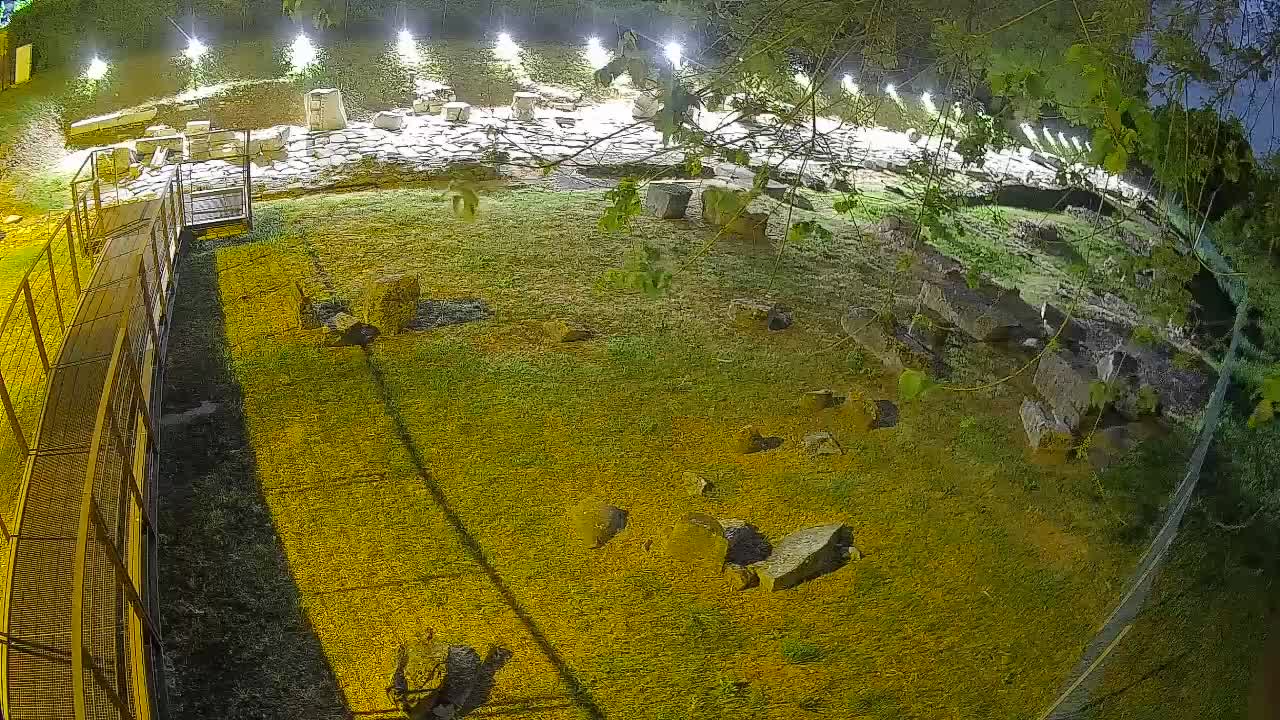 Aquileia – Decumano di Aratria Galla