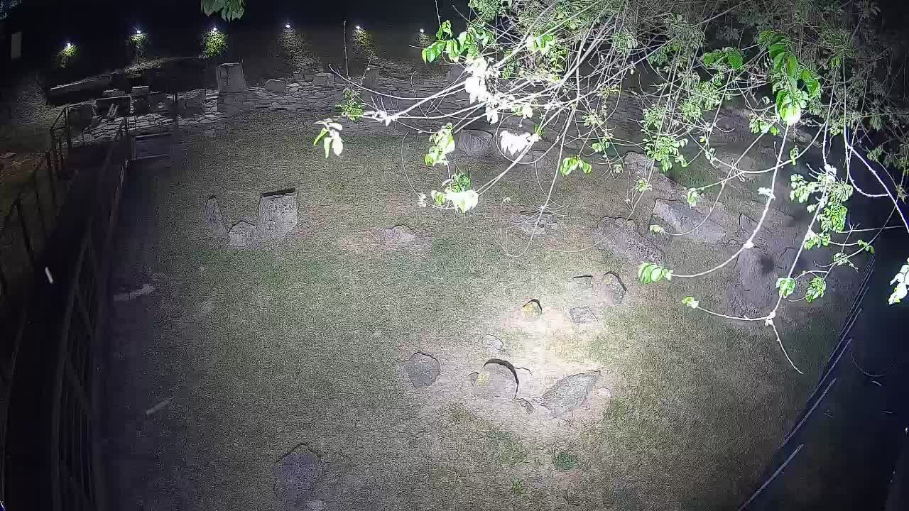 Aquileia – Decumano di Aratria Galla