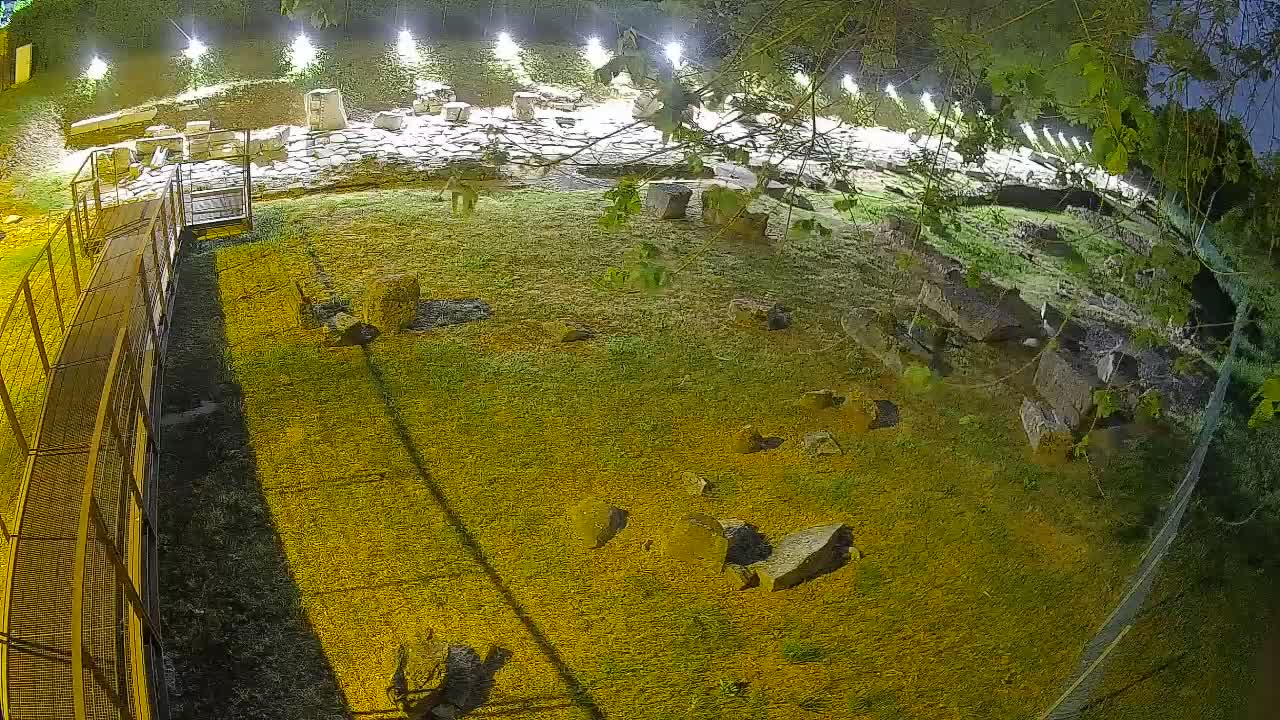 Aquileia – Decumano di Aratria Galla