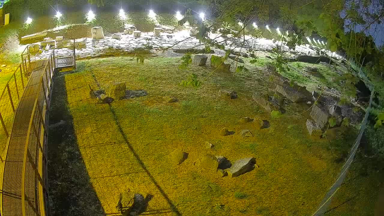 Aquileia – Decumano di Aratria Galla