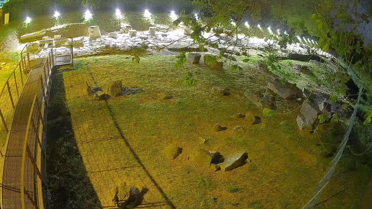 Aquileia – Decumano di Aratria Galla