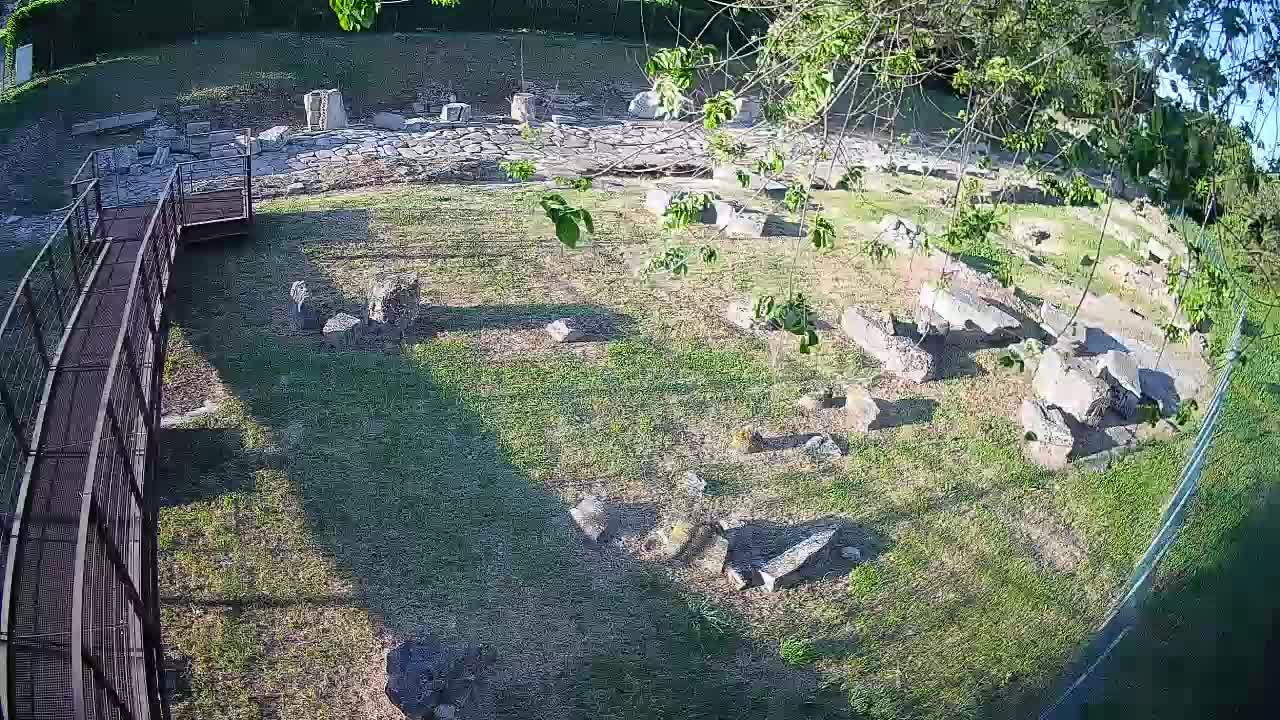 Aquileia – Decumano di Aratria Galla