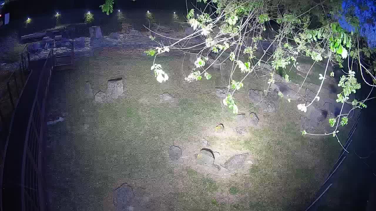 Aquileia – Decumano di Aratria Galla