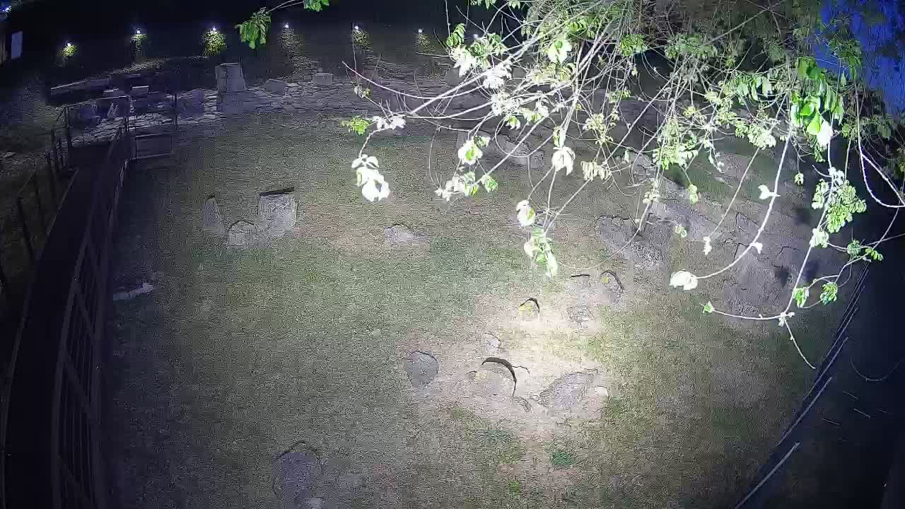 Aquileia – Decumano di Aratria Galla