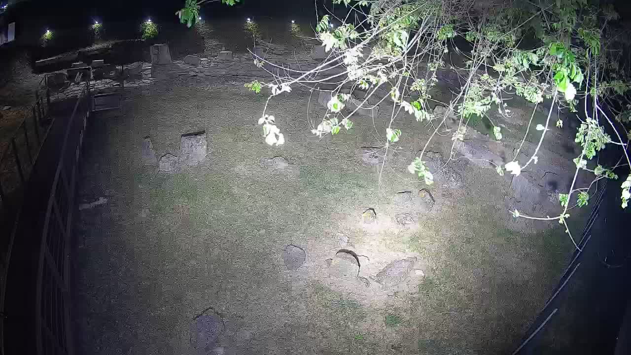 Aquileia – Decumano di Aratria Galla