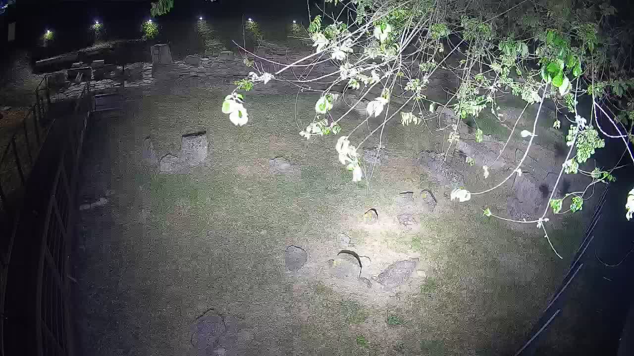 Aquileia – Decumano di Aratria Galla