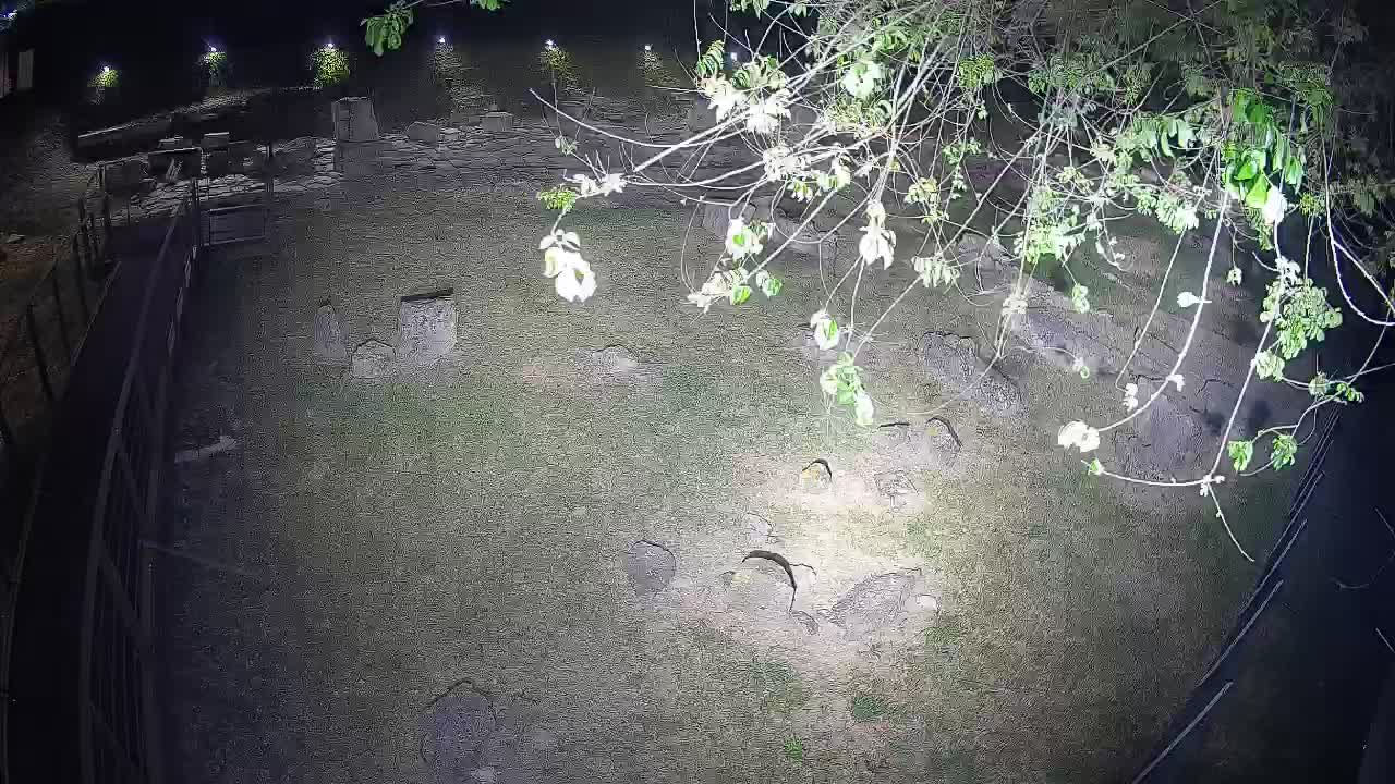 Aquileia – Decumano di Aratria Galla