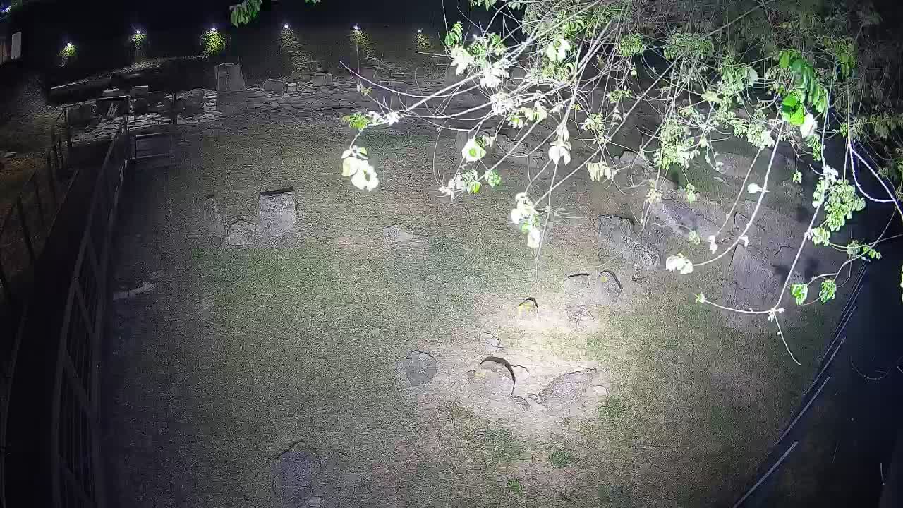 Aquileia – Decumano di Aratria Galla