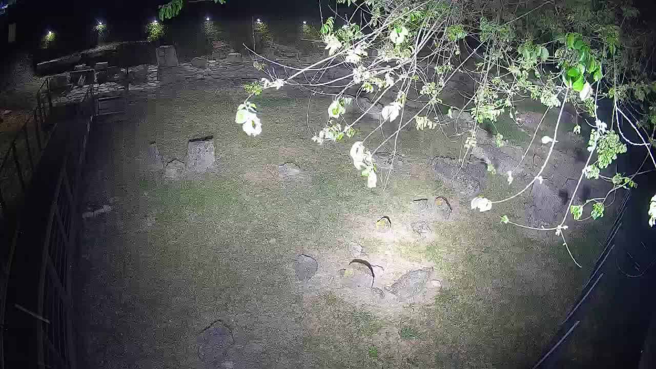 Aquileia – Decumano di Aratria Galla