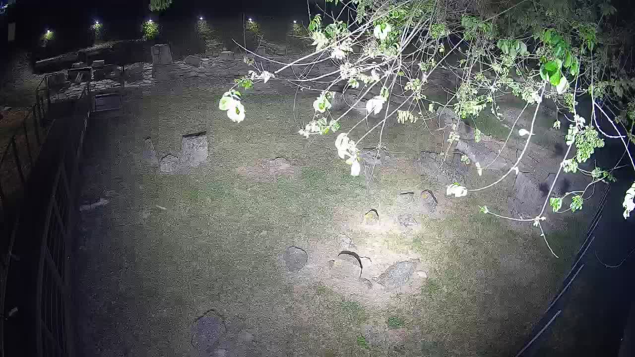 Aquileia – Decumano di Aratria Galla