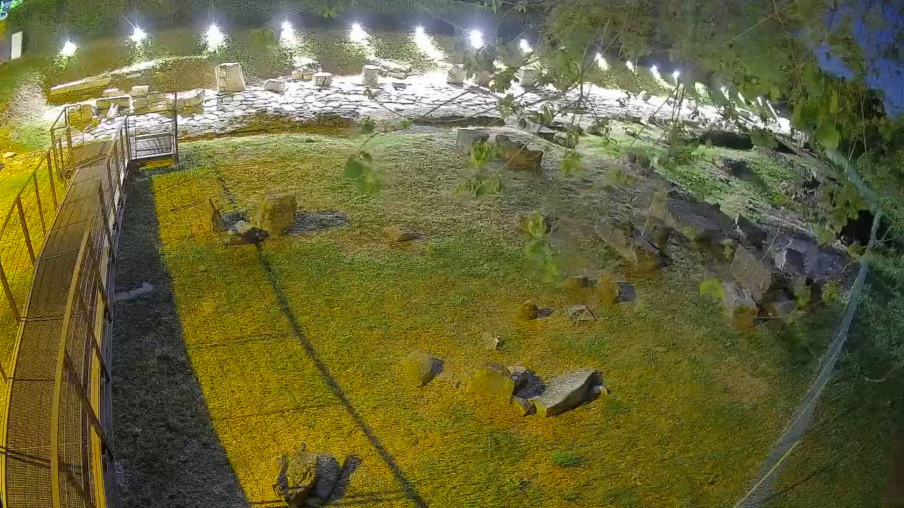 Oglej – Decumano Aratria Galla