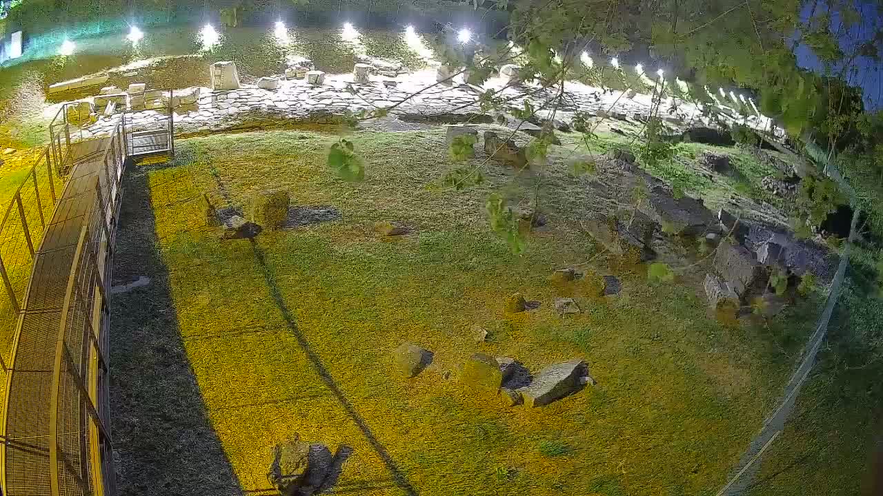 Aquileia – Decumano di Aratria Galla