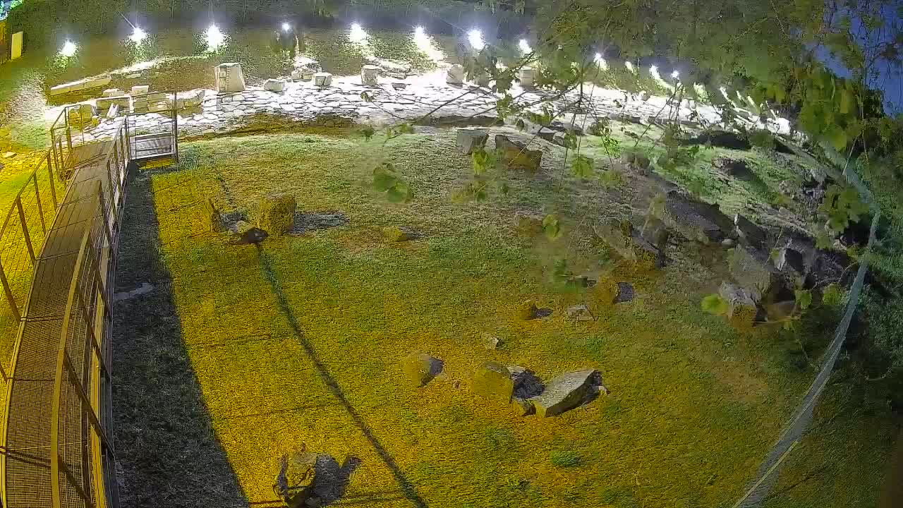 Aquileia – Decumano di Aratria Galla