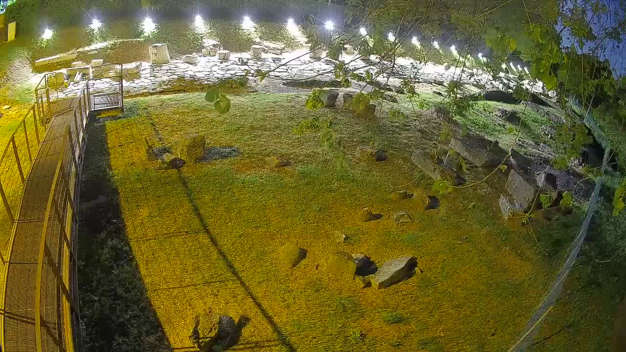 Aquileia – Decumano di Aratria Galla