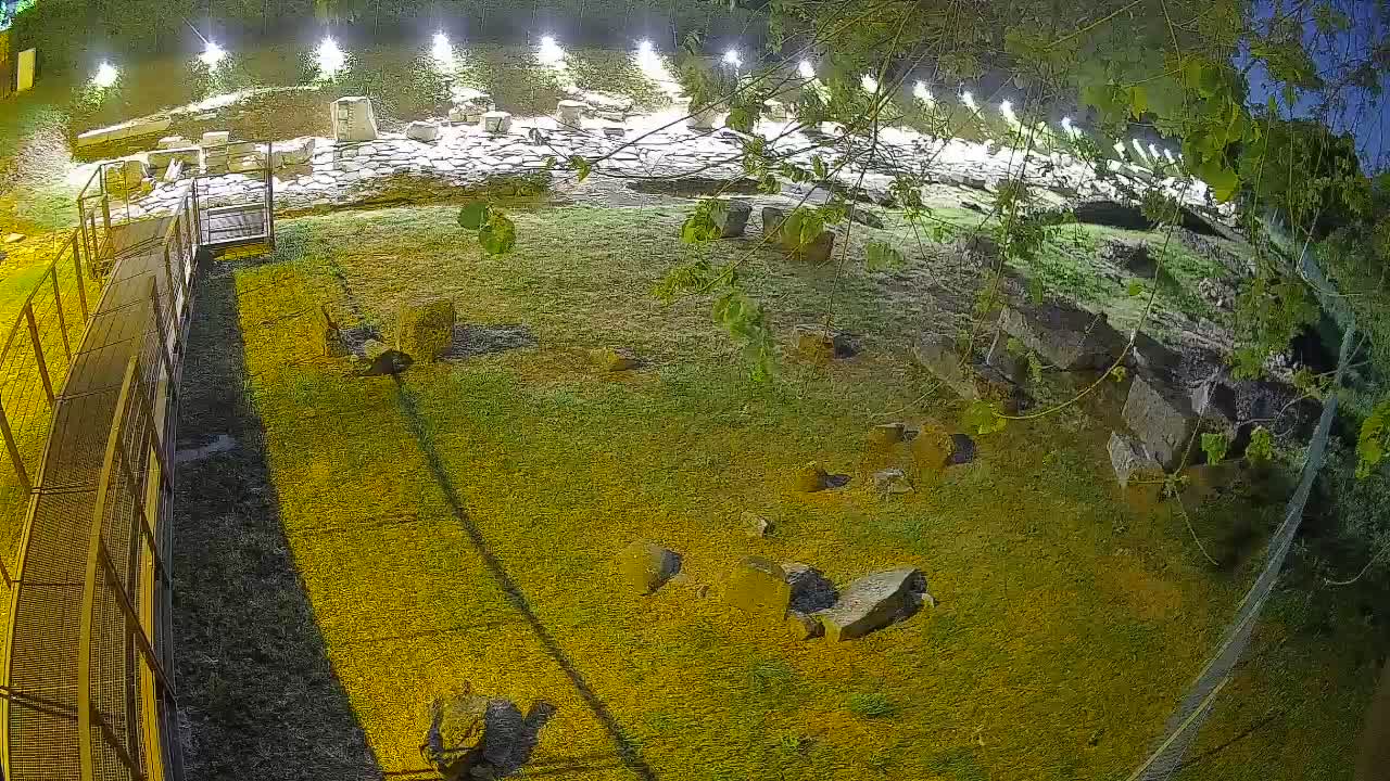 Aquileia – Decumano di Aratria Galla