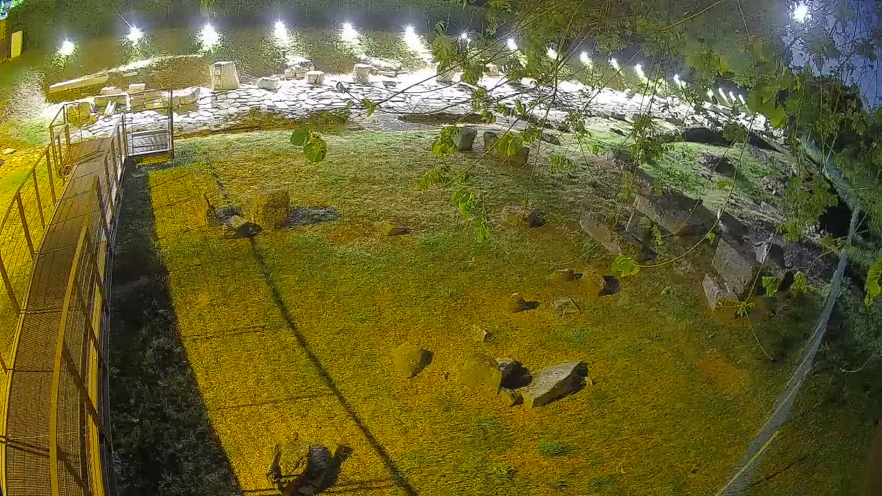 Aquileia – Decumano di Aratria Galla