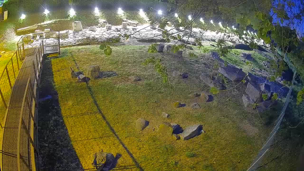 Aquileia – Decumano di Aratria Galla