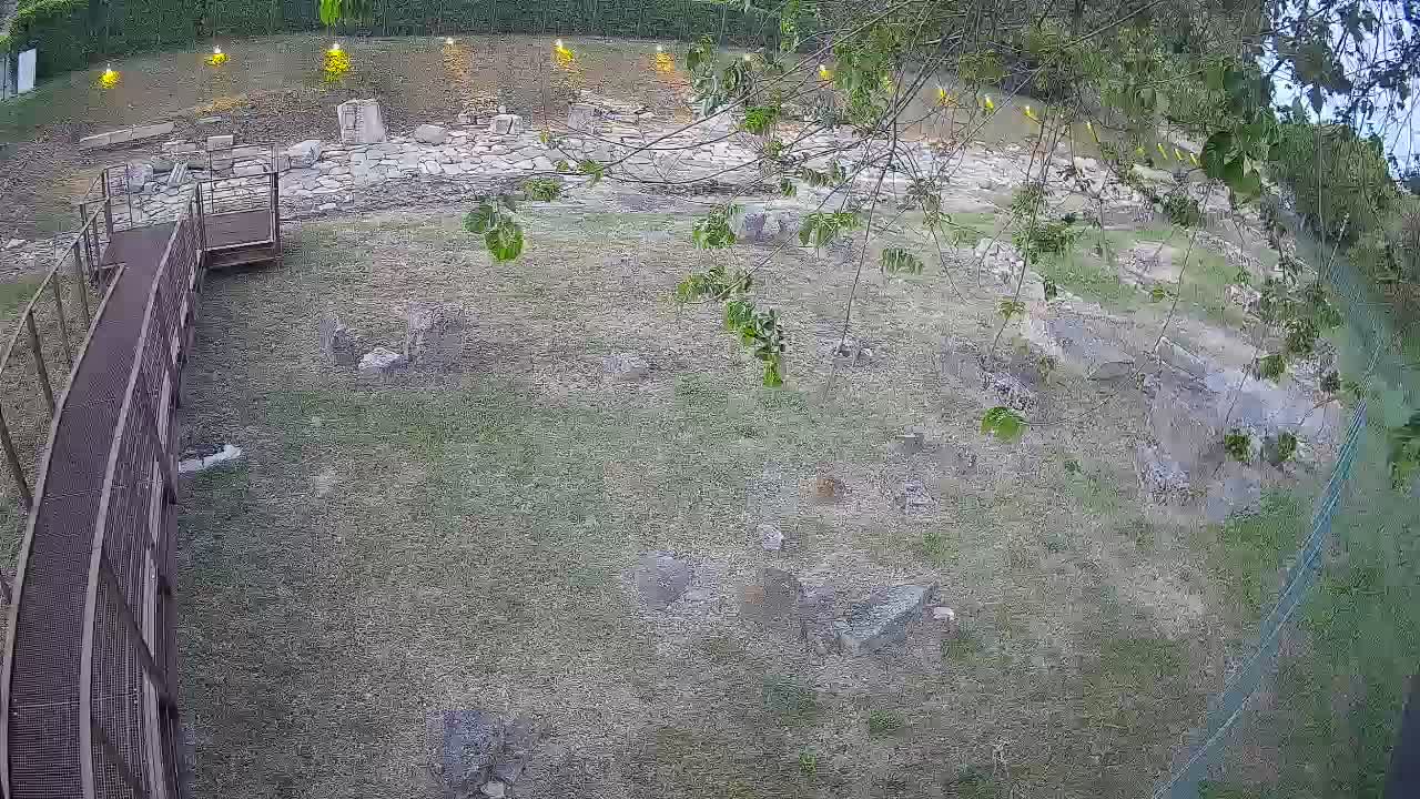 Aquileia – Decumano di Aratria Galla