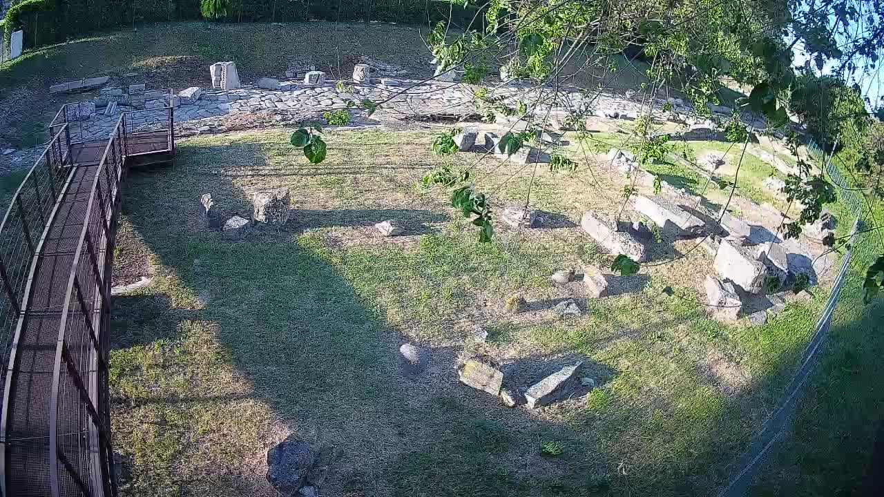 Oglej – Decumano Aratria Galla