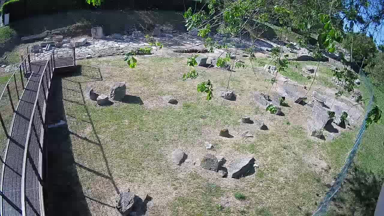 Aquileia – Decumano di Aratria Galla