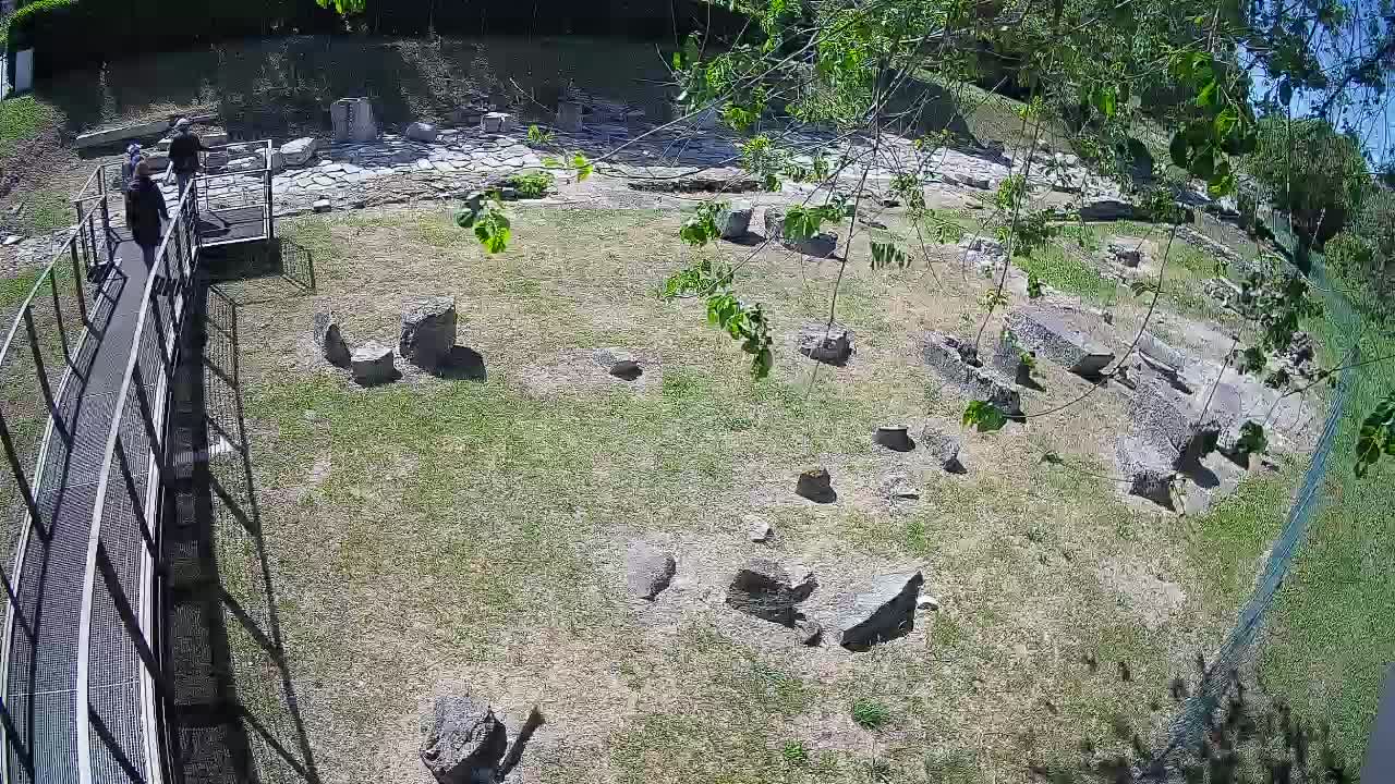 Aquileia – Decumano di Aratria Galla
