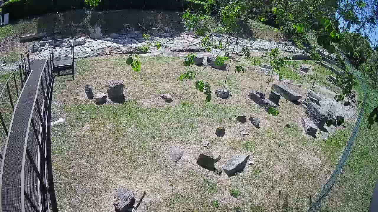 Aquileia – Decumano di Aratria Galla