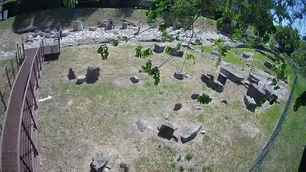 Akvileja – Decumano di Aratria Galla