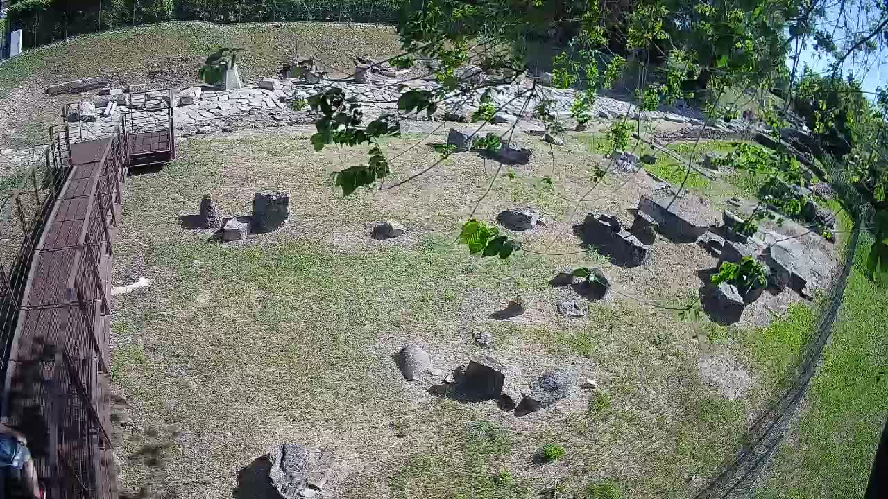Aquileia – Decumano di Aratria Galla
