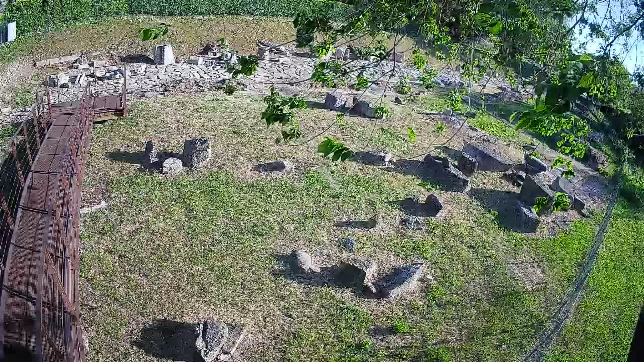 Aquileia – Decumano di Aratria Galla