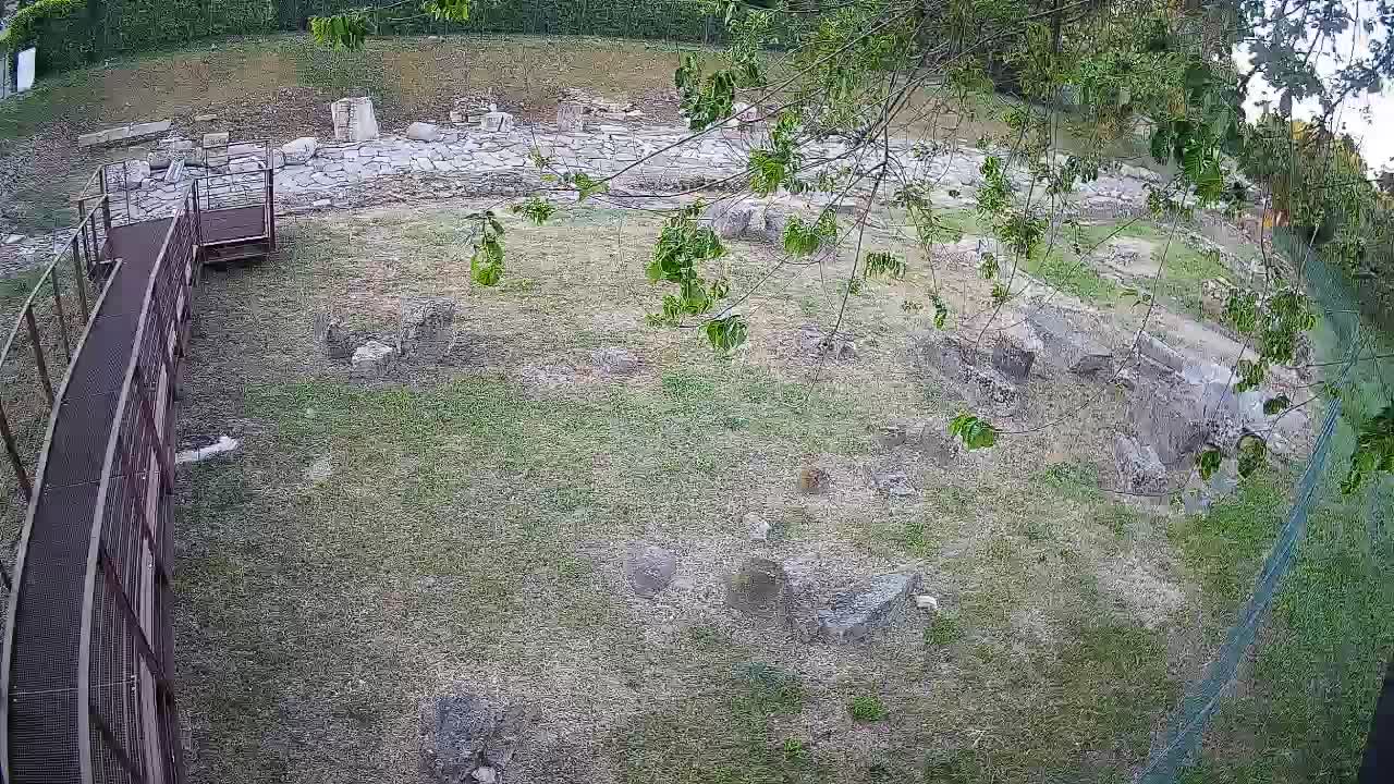 Aquileia – Decumano di Aratria Galla