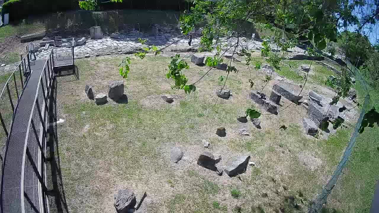 Aquileia – Decumano di Aratria Galla