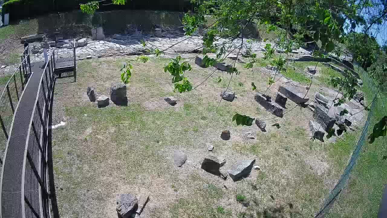 Aquileia – Decumano di Aratria Galla