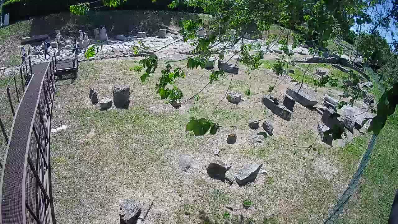 Aquileia – Decumano di Aratria Galla