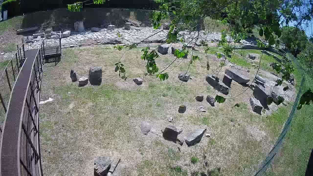 Aquileia – Decumano di Aratria Galla