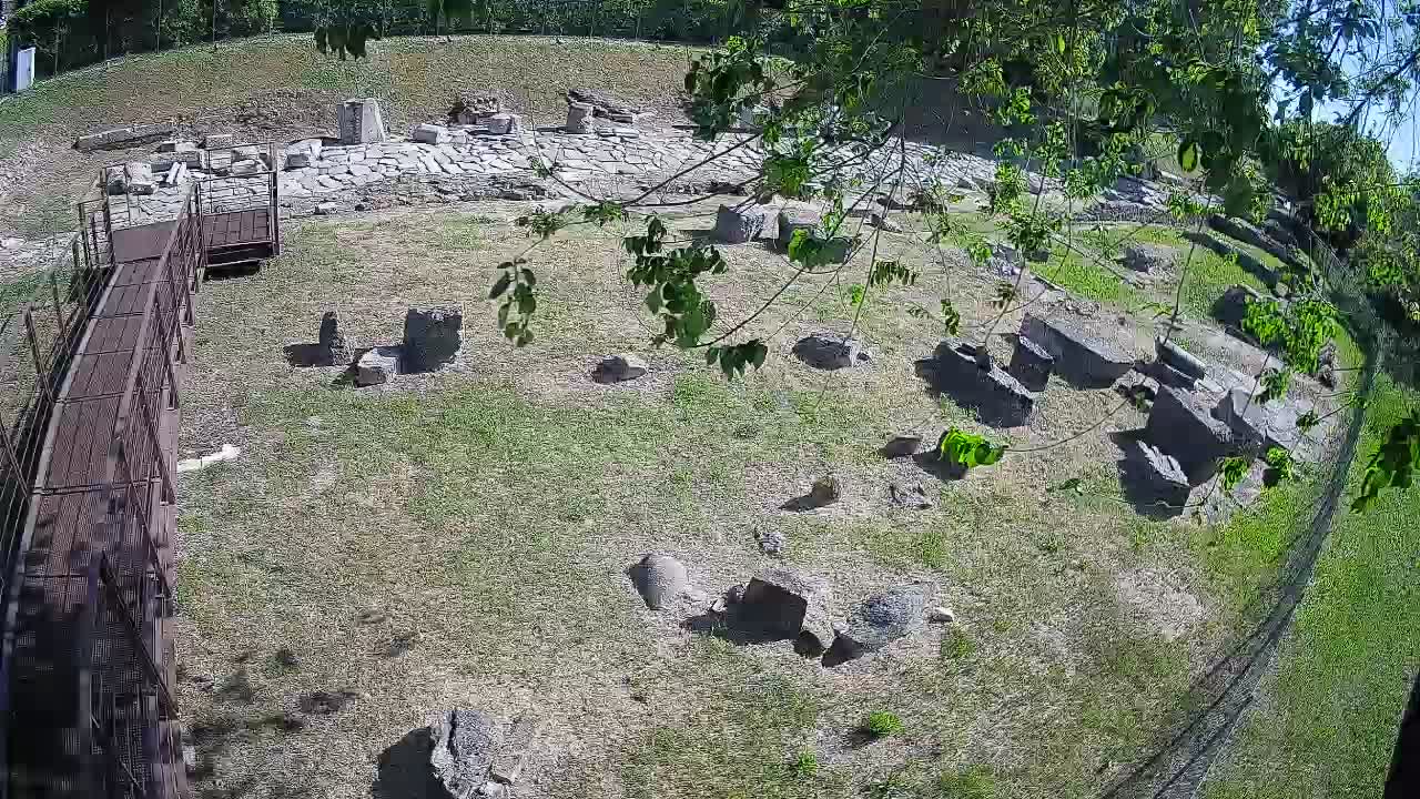 Aquileia – Decumano di Aratria Galla