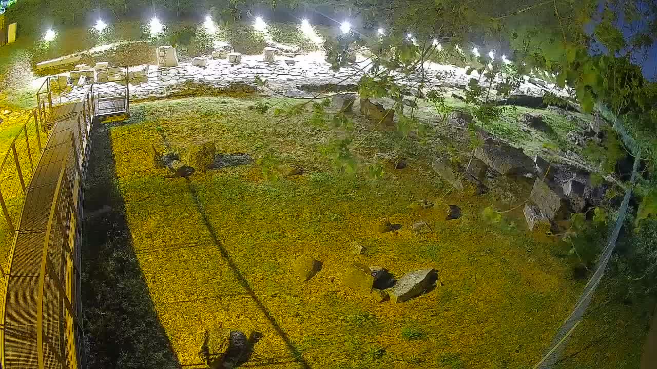Aquileia – Decumano di Aratria Galla