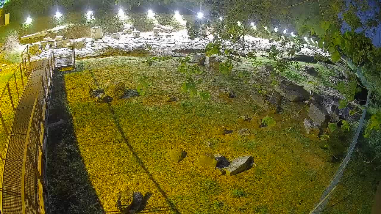 Aquileia – Decumano di Aratria Galla