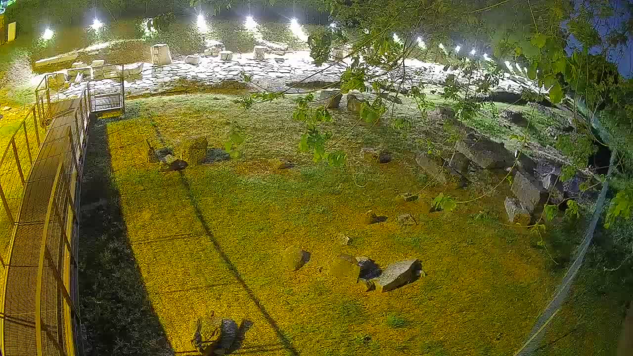 Aquileia – Decumano di Aratria Galla