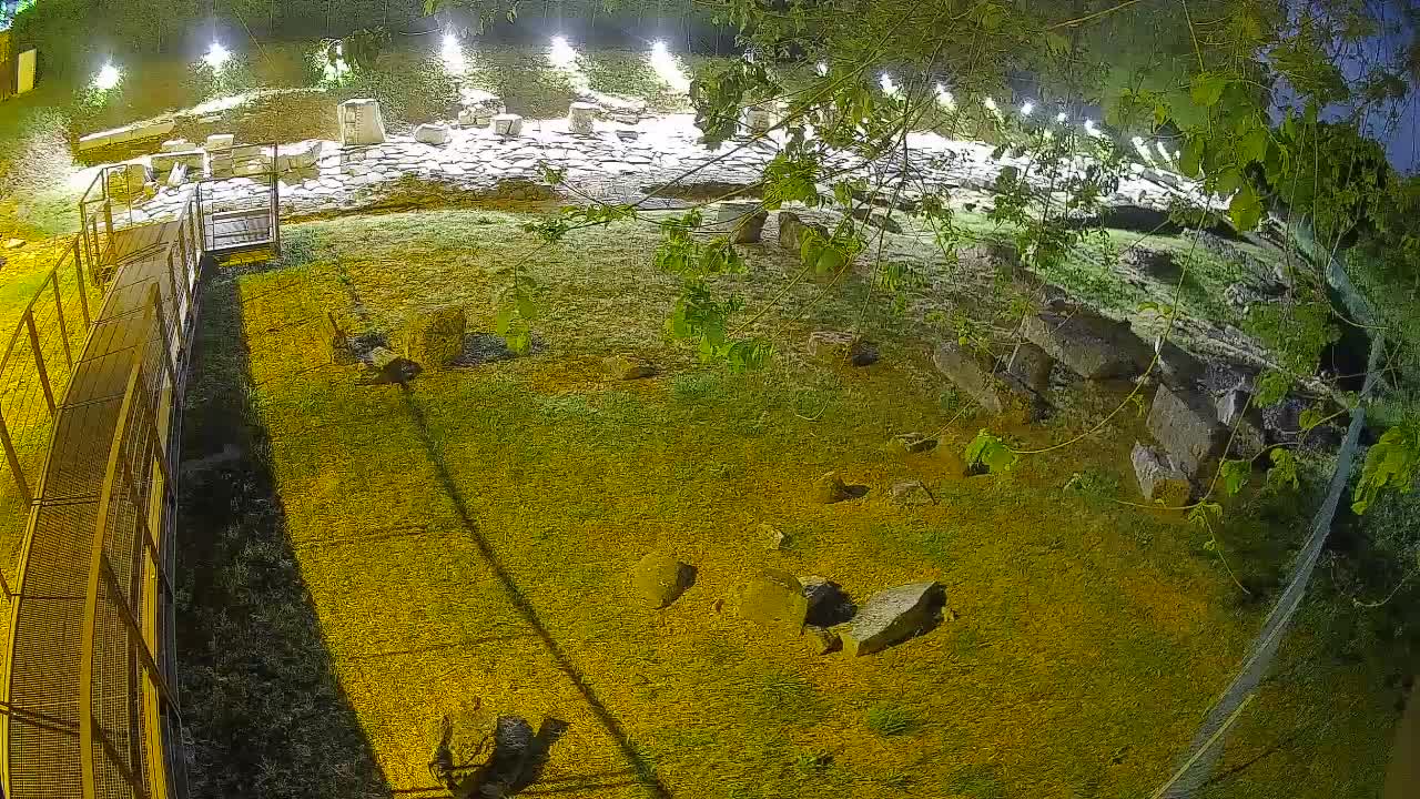 Aquileia – Decumano di Aratria Galla