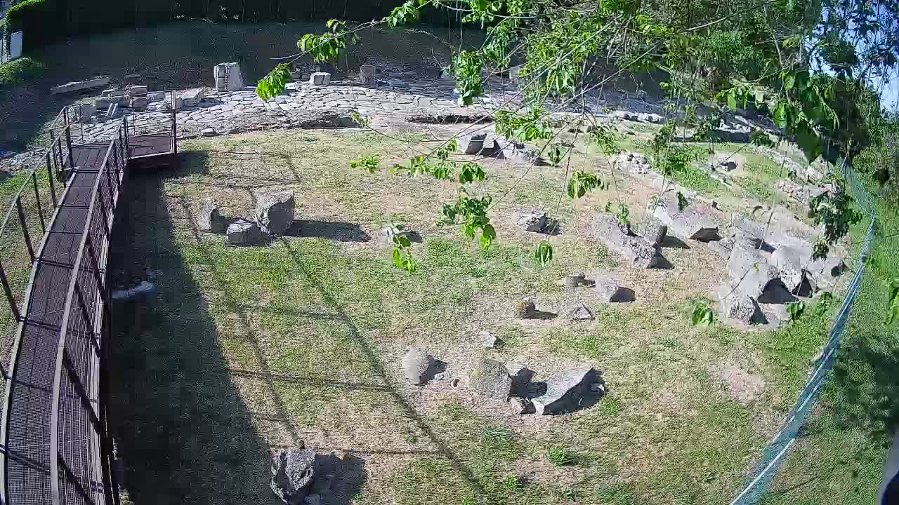 Aquileia – Decumano di Aratria Galla
