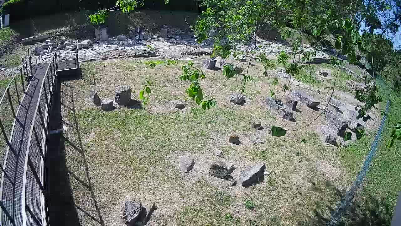 Aquileia – Decumano di Aratria Galla