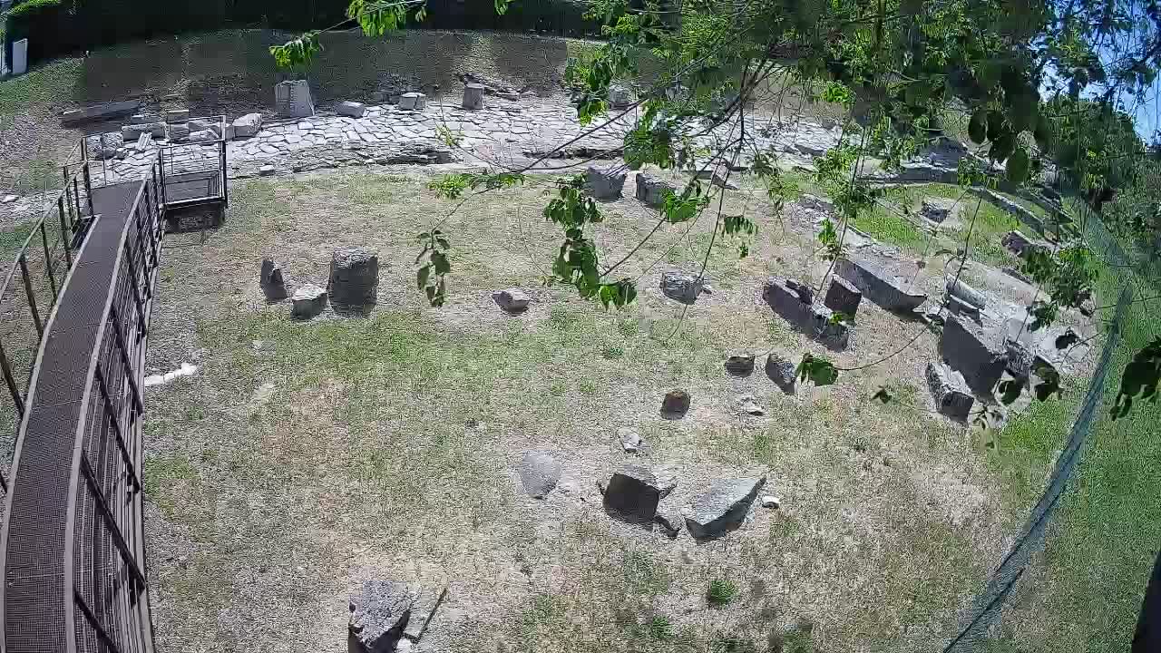 Aquileia – Decumano di Aratria Galla